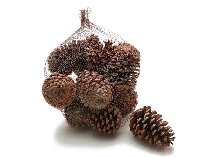Dennenappels maritima grote dennenappel naturel 12cm 12, Huis en Inrichting, Woonaccessoires | Kunstplanten en Kunstbloemen, Nieuw
