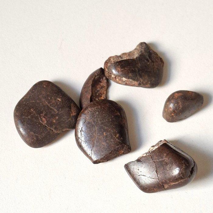 5 stukken chondriet meteorieten, gerold - 15.3 g, Verzamelen, Mineralen en Fossielen