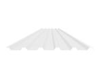 Metalen damwand dakplaat 35/1035 0.63mm SP25 Zuiver Wit, Doe-het-zelf en Bouw, Platen en Panelen, Nieuw, Ophalen of Verzenden