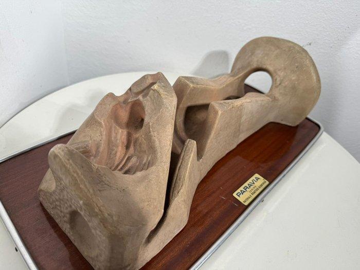 Anatomisch model - Rubber, Plastic, Metaal - 1960-1970 -, Antiek en Kunst, Antiek | Wandborden en Tegels