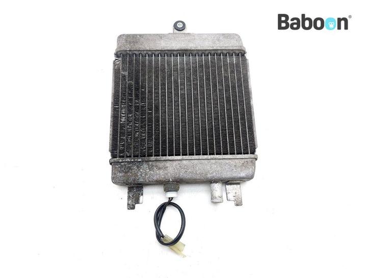 Radiateur Suzuki UH 200 Burgman 2007-2013 (UH200 CD1111), Motoren, Onderdelen | Suzuki, Gebruikt, Verzenden