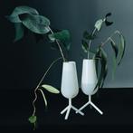 Maarten Baptist - 8x milky white Champanghe / Cocktail glass