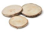 Boomstamschijf Berkenschijf rond ca. 25x25x2,3 cm, Nieuw