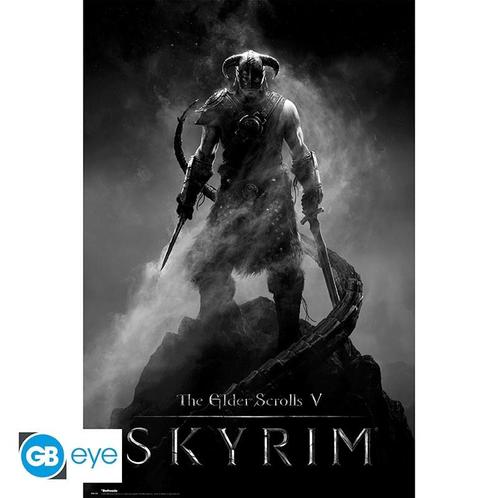 Skyrim Dragonborn Poster 91.5 x 61cm, Verzamelen, Film en Tv, Ophalen of Verzenden