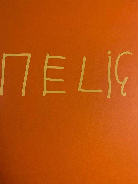 Nelis 9789090181622 Peter van der Meer, Livres, Art & Culture | Photographie & Design, Envoi