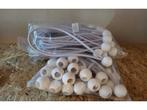 Veiling - 50x Elastiek met bal wit, Nieuw