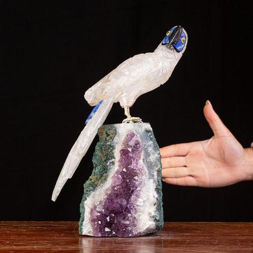 Vogelcollectie: Winged Splendors. Taxidermie volledige, Verzamelen, Mineralen en Fossielen