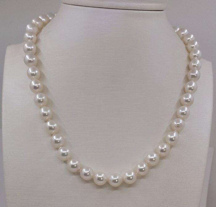 Halsketting 9x9,5mm Akoya parels, Handtassen en Accessoires, Kettingen