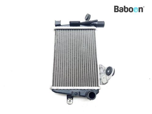 Radiateur Links BMW R 1250 GS Adventure 2019->, Motoren, Onderdelen | BMW, Gebruikt, Verzenden