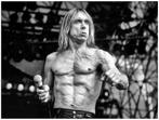 Massimo Barbaglia - IGGY POP - Live in Milan 1996