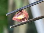 1 pcs  Orange, Rose Sapphire Padparadscha  - 1.06 ct -, Handtassen en Accessoires, Edelstenen, Nieuw
