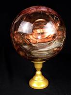 Fossiel hout - Gefossiliseerd hout - Araucaria - 14.32 cm -