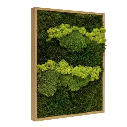 Mosschilderij Lappenmos-Rendiermos-Bolmos 40x60 cm Eikenhout, Maison & Meubles, Accessoires pour la Maison | Cadres, Envoi