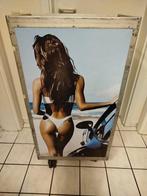 Airline Trolley / Flugzeugtrolley, Ryanair, 2 Türen -