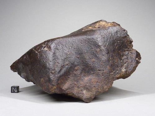 NWA niet-geclassificeerde Sahara Steen meteoriet 18 cm -, Verzamelen, Mineralen en Fossielen
