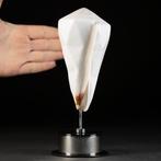 Grote witte gebeeldhouwde schelp - Basis van acryl en staal, Verzamelen