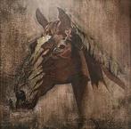 Duitse school (XX) - Horse head study - NO RESERVE, Antiek en Kunst