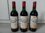 1982 Chateau Les Cruzelles - Pomerol - 3 Flessen (0.75, Verzamelen, Nieuw