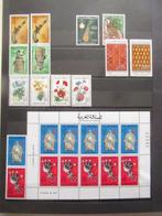 Maroc - Collection avancée de timbres, Timbres & Monnaies