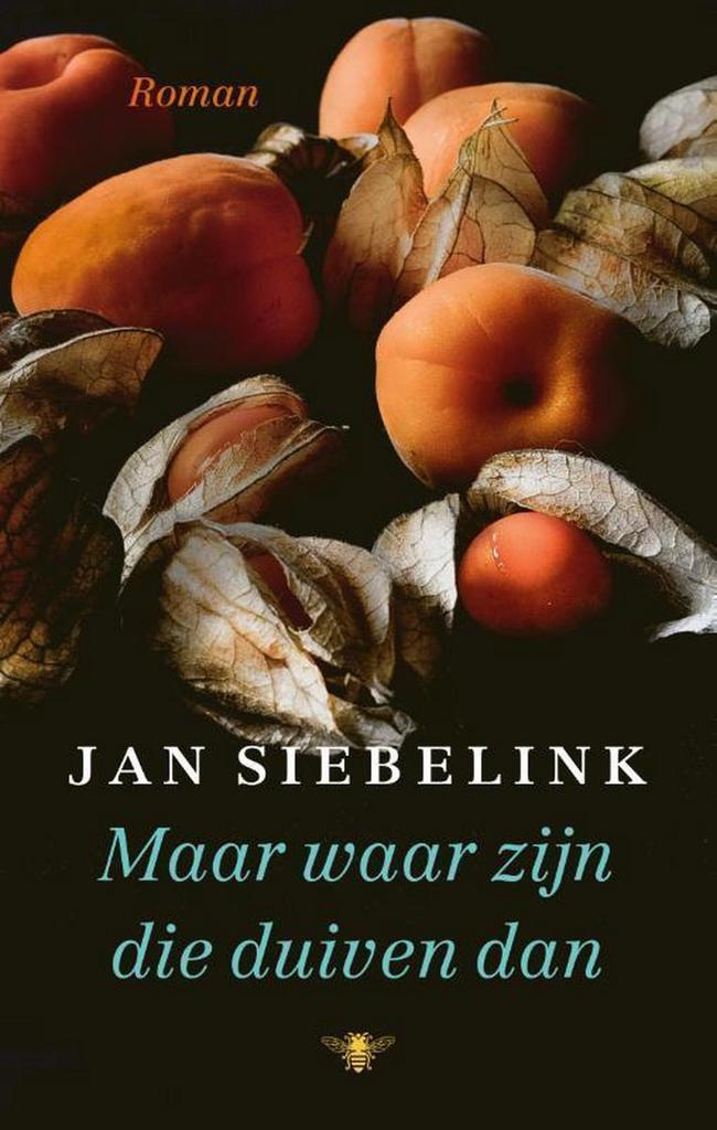 Maar waar zijn die duiven dan 9789403182902 Jan Siebelink, Livres, Romans, Envoi