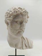 sculptuur, Adriano - 38 cm - marmerstof