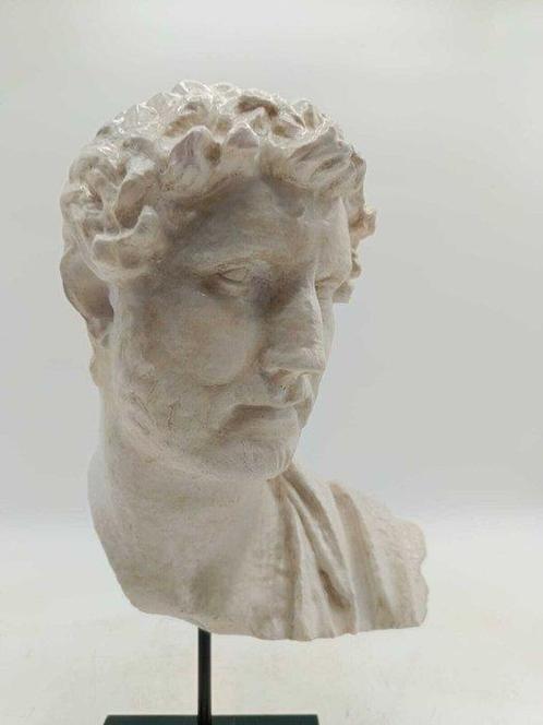 sculptuur, Adriano - 38 cm - marmerstof, Antiek en Kunst, Curiosa en Brocante