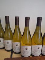 2023 Les Domaine de la Tassé dOr - Bourgogne Chardonnay - 9, Nieuw