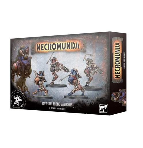 Cawdor Ridge Walkers (Warhammer nieuw), Hobby en Vrije tijd, Wargaming, Ophalen of Verzenden