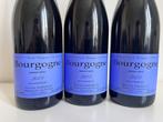 2023 Sylvain Pataille - Bourgogne - 3 Flessen (0.75 liter), Nieuw