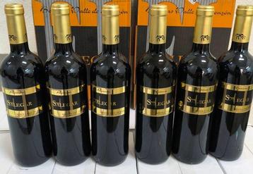 2015 Bodegas Valle de Monzón, Salegar - Ribera del Duero beschikbaar voor biedingen