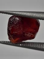 Natural pyrope Garnet - 1.740 ct - Rough Gemstone - facet qu, Verzamelen, Mineralen en Fossielen, Verzenden