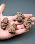 Verse dinosauruspoep - Gefossiliseerd dier - Coprolito, Verzamelen