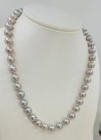 Sans prix de réserve - Collier Argent, Perles Edison grises, Nieuw
