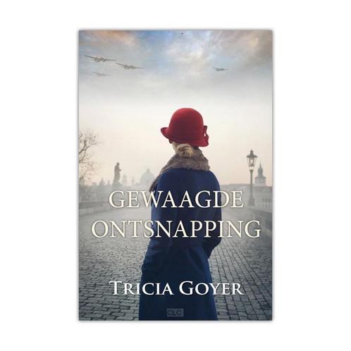 Gewaagde Ontsnapping - Tricia Goyer (Midprice) 9789493208179, Boeken, Historische romans, Zo goed als nieuw, Verzenden