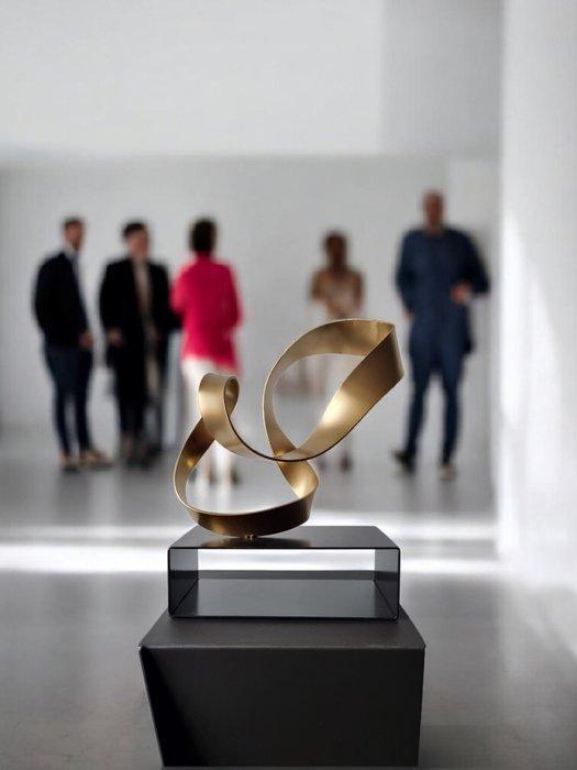 Javi Villarroel Seoane - Continuum, Antiek en Kunst, Kunst | Designobjecten