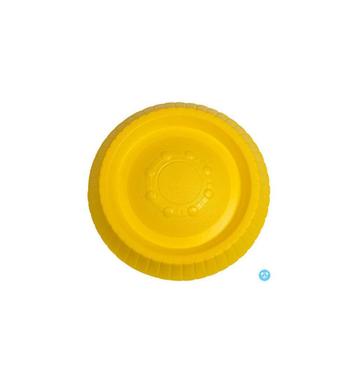 Training frisbee