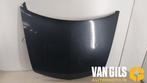 Motorkap Renault Vel Satis O218569, Nieuw