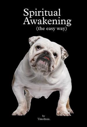 Spiritual Awakening (the easy way), Boeken, Taal | Overige Talen, Verzenden