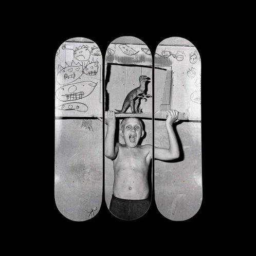 Roger Ballen (1950) - ROAR, Antiek en Kunst, Kunst | Schilderijen | Modern