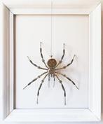 Peter Szucsy - Clockwork Spider Lord Thomas