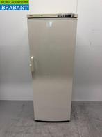 Bosch Congélateur 303 litres 230V Horeca, Articles professionnels, Verzenden