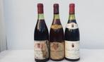 1966 Nicolas Santenay, 1976 Morey Chassagne-Montrachet rouge, Collections, Vins