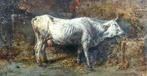 Filippo Palizzi (1818-1899) - Studio di mucca, Antiek en Kunst