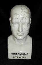 Parure de tête - Model Phrenology Hoofd - Dr. L.N.Fowler, Antiek en Kunst
