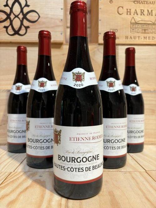 2020 Étienne Rodier Hautes Côtes de Beaune - Bourgogne - 6, Verzamelen, Wijnen