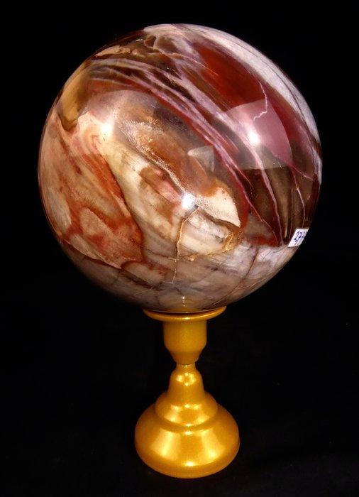 Versteend hout Bol - Hoogte: 12.7 cm - Breedte: 12.7 cm-, Collections, Minéraux & Fossiles