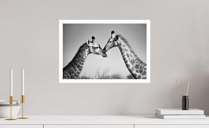 Jeffrey Van Daele - Gentle Connection, Antiquités & Art, Art | Objets design