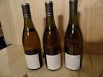 2009 Domaine Comte Senard - Corton Grand Cru - 3 Bouteilles, Collections