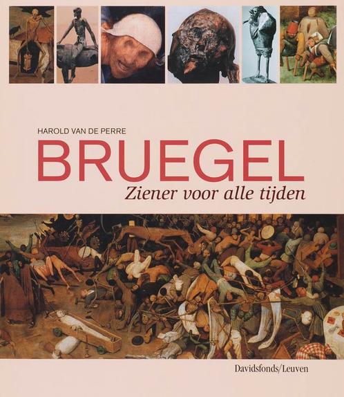 Bruegel 9789058264671, Boeken, Kunst en Cultuur | Beeldend, Gelezen, Verzenden