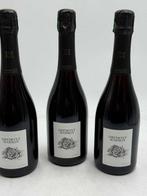 2020 Drémont Marroy, Les Rosiers Parcellaires - Champagne, Nieuw